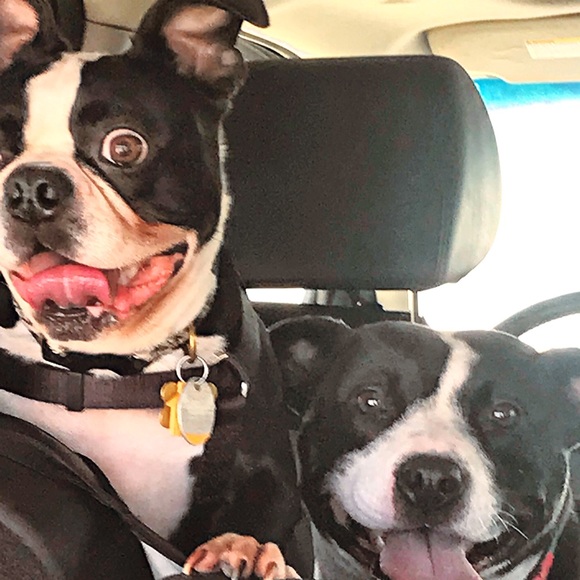 I’m blessed with an awesome family. Gratitude helps me to conquer my hurdles. - Picture 4 of 6